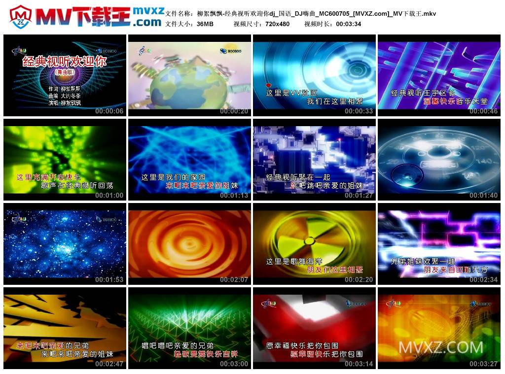 柳絮飘飘-经典视听欢迎你dj_国语_DJ嗨曲_MC600705